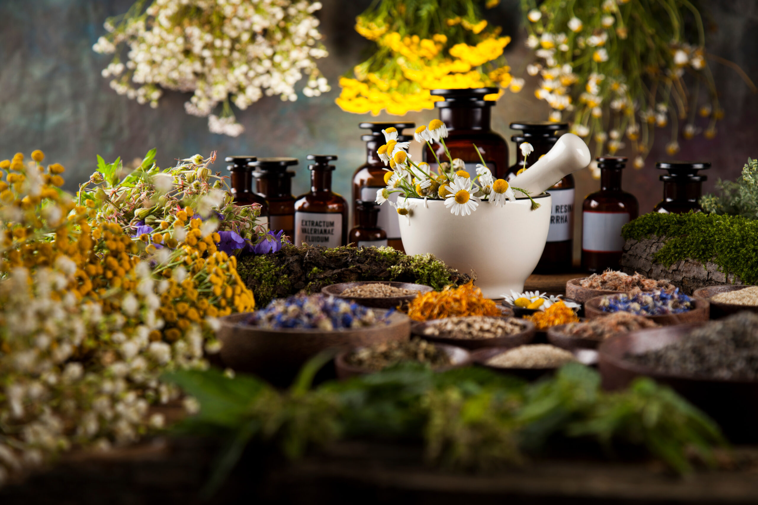 Guaco for Cough Support: Benefits, Uses, and Safety