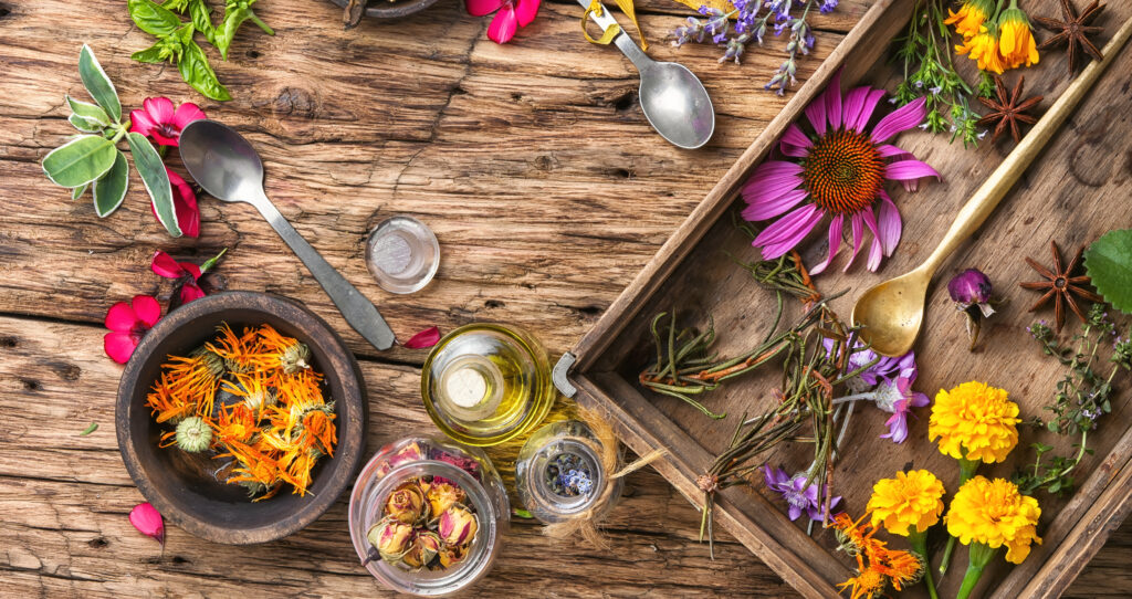 Chaparral Herb: Uses, Claims, and the Safety Concerns to Know long poster with healthy herbs