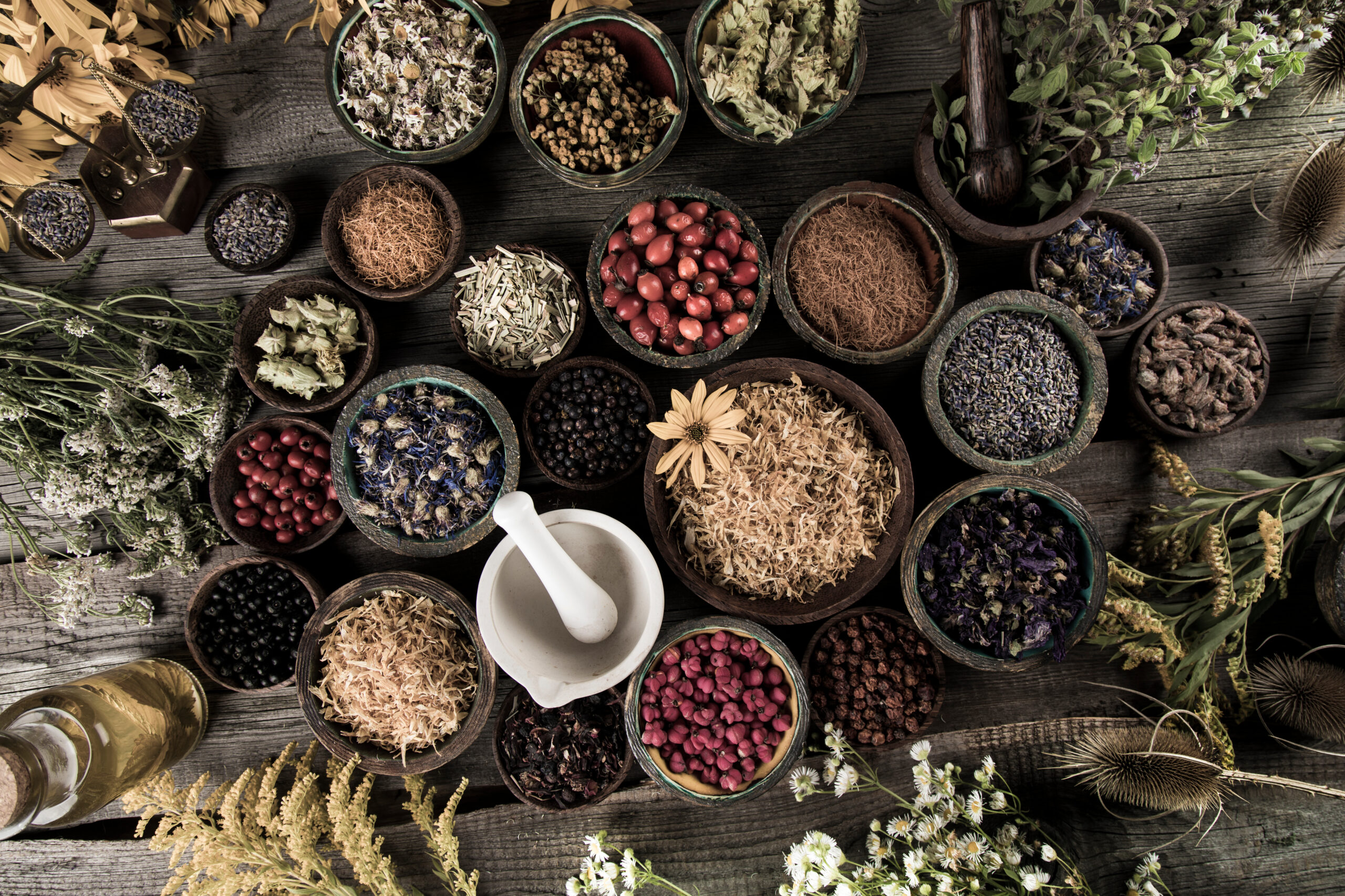 Herbal Remedies for Allergies: Guide on Use and Expectations