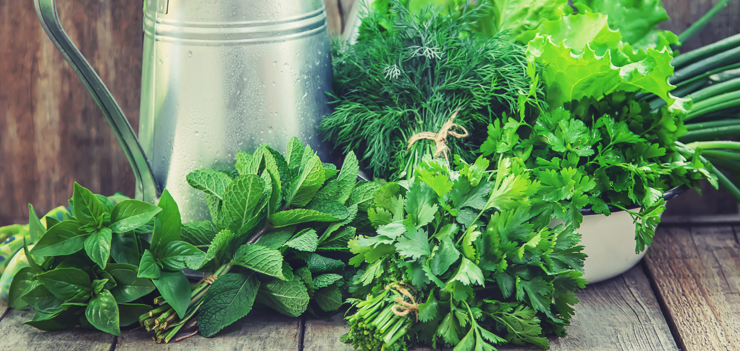 fresh homemade greens from the garden. selective focus.