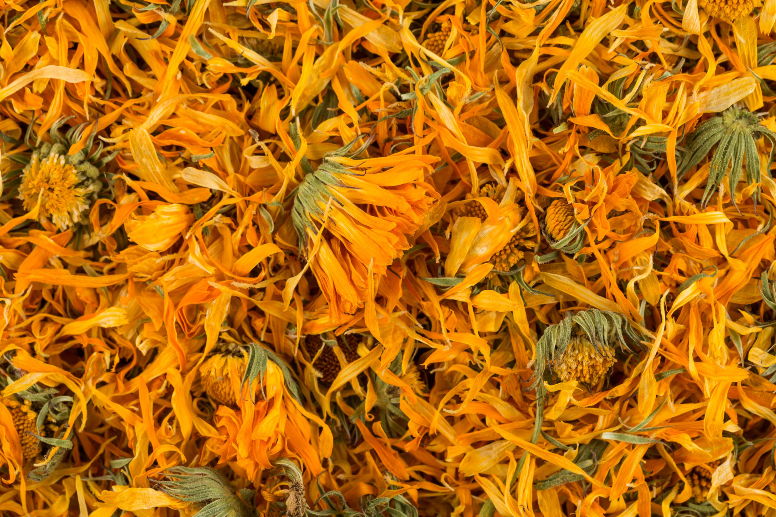 Calendula for Skin and Wellness: Benefits, Uses, and a Simple Oil