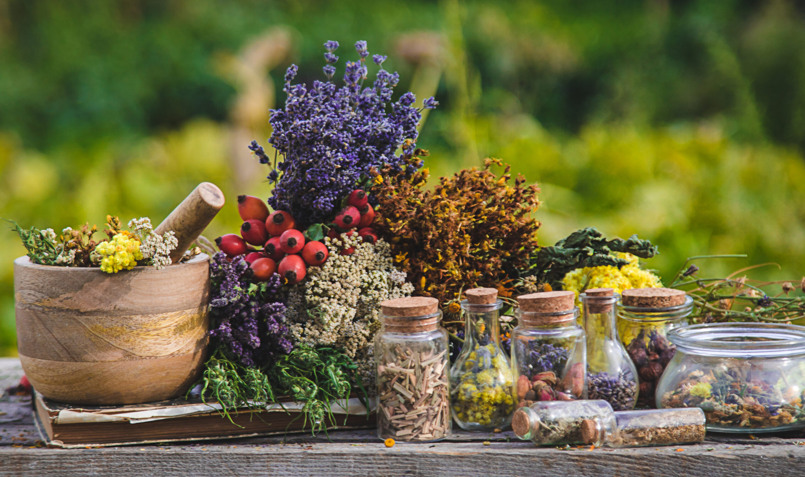 dried medicinal herbs on the table. selective focus.