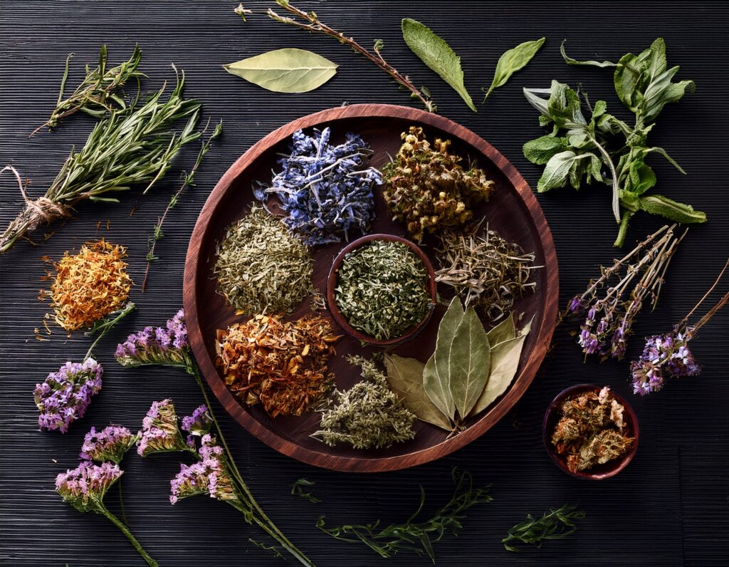 firefly generate an image of dried herbs, natural organic herbal 498550 2